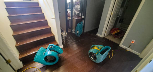Best Water damage restoration near me  in Winter Garden, FL