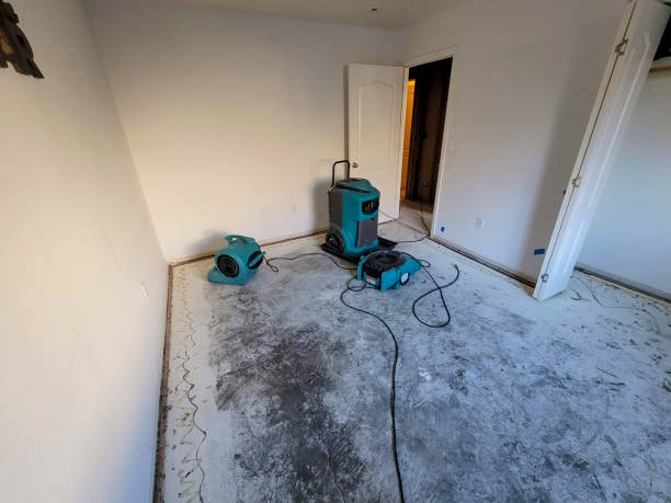 Best Fire Damage Restoration  in Winter Garden, FL