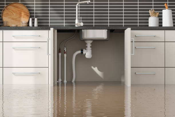 Best Flood restoration services  in Winter Garden, FL